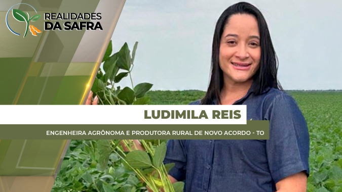 Após atraso e replantio, soja se desenvolve bem em Novo Acordo/TO