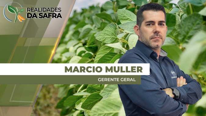 Partes do Paraguai já plantaram até 90% da soja