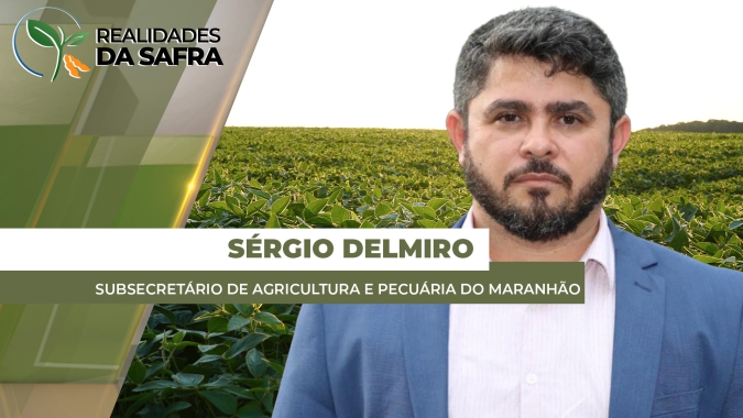 Maranhão espera queda de produtividade na soja após clima complicado