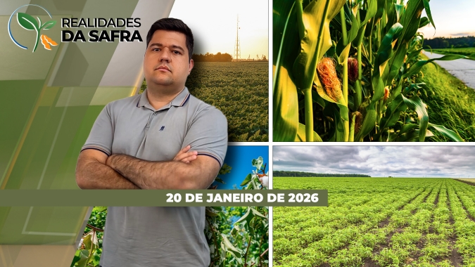 Colheita da soja começa com boas perspectivas no Oeste da Bahia e no Mato Grosso do Sul