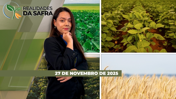 Frio compromete o desenvolvimento da soja no PR e trigo cai para R$ 55, abaixo do preço mínimo