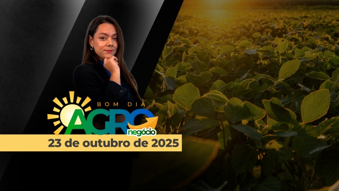 Lei do frete mínimo eleva custos de transporte do setor de fertilizantes em mais de 35%, enquanto safra de soja do Brasil em 2026 deve avançar 3,9%