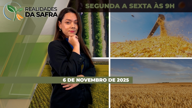 Clima gera preocupação no início da safra de soja no Rio Grande do Sul, enquanto no Oeste da Bahia o plantio avança