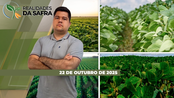 Irregularidade de chuvas traz desafios para o plantio da soja, mas no Paraguai trabalhos entram na reta final