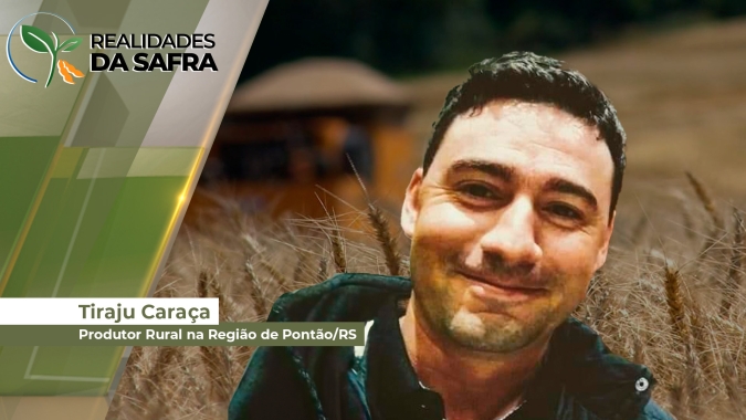 Colheita do trigo avança no Rio Grande do Sul com produtividades baixas e custos elevados