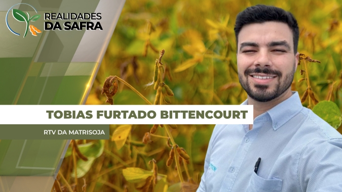 Paraguai fecha safra de soja com maioria dos produtores tendo altas produtividades