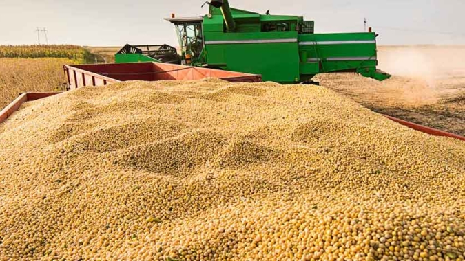 Colheita de soja do Brasil deve crescer 4,5% em 23/24, projeta Safras & Mercado