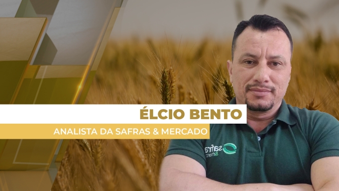 Preços do trigo devem se manter sustentados no Brasil, com apoio do dólar e da demanda