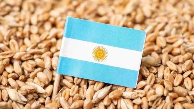Safra de trigo 2025/26 da Argentina deve atingir recorde de 27,8 mi t, diz bolsa