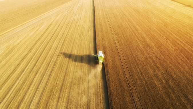 Safra de trigo tem qualidade e produtividade garantida com uso do herbicida Finale® da BASF