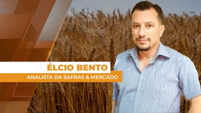 Mercado de trigo segue pressionado por oferta global recorde e importações mais competitivas