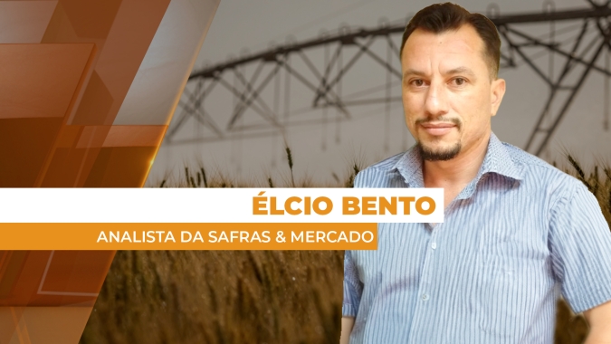 Oferta restrita mantém preços do trigo sustentados no Brasil, enquanto mercado externo segue volátil
