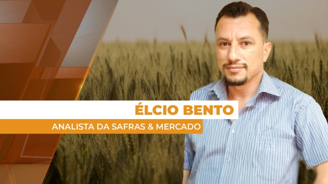 Trigo sobe forte nas bolsas internacionais nesta 2ª feira, com fundamentos voltando a falar mais alto