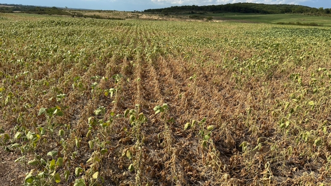 Governo do RS e Federação dos Trabalhadores na Agricultura discutem medidas para mitigar impactos da seca