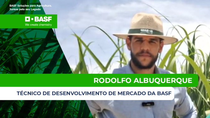 Tecnologias integradas aumentam produtividade e longevidade da cana corte após corte