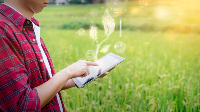 BASF está em busca de Agtechs para cocriação