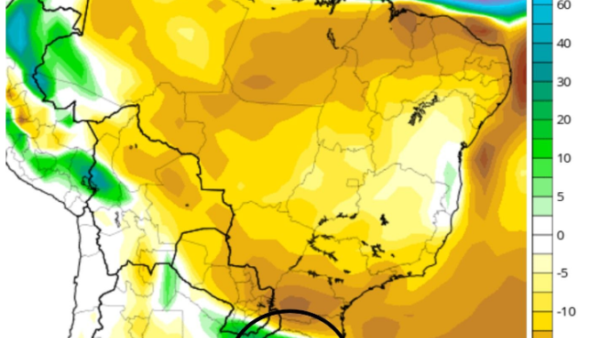 Inundações no Rio Grande do Sul trazem grandes incertezas para a soja brasileira