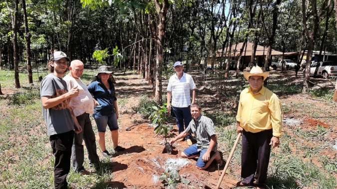 Cultivo de cacau avança e vira oportunidade para o produtor paulista
