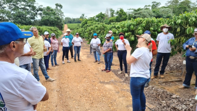 Produtores rurais de Roraima visitam Rondônia para conhecer cafés robustas amazônicos
