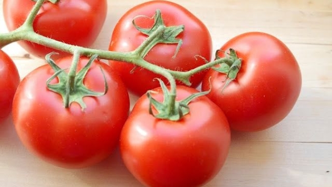 Seminário GranTomate traz tendências da cultura e apresenta inovações digitais para o cultivo