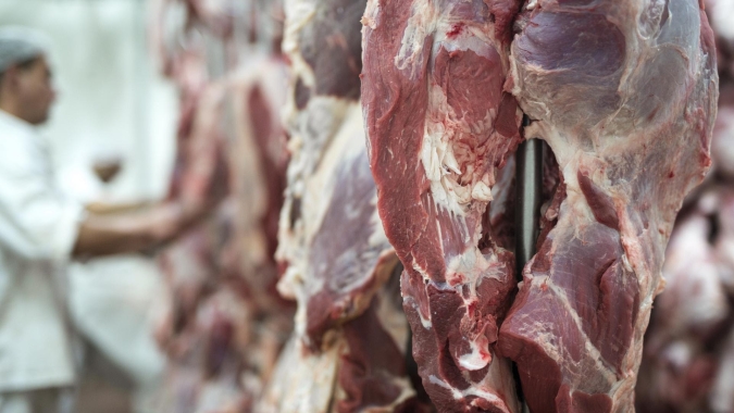 Com 35% da produção voltada à exportação, carne bovina entra em ciclo de valorização