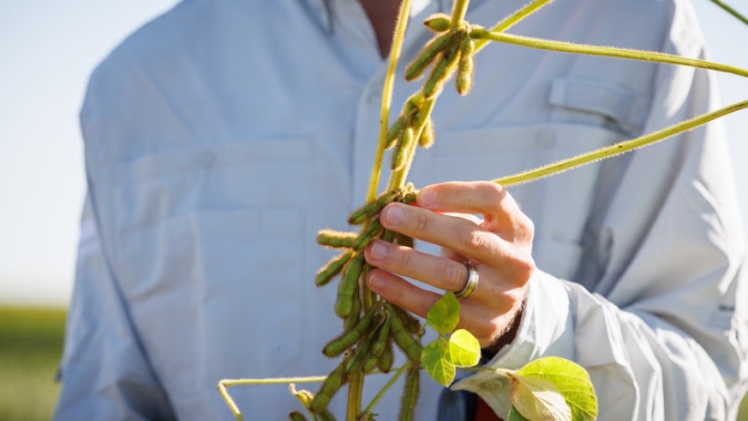 BASF, Corteva Agriscience e M.S. Technologies, L.L.C. assinam acordo para lançar no Brasil, até o final desta década, combinação de biotecnologias de soja inédita no setor