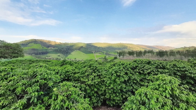 Café do Vale da Grama (SP) conquista Indicação Geográfica