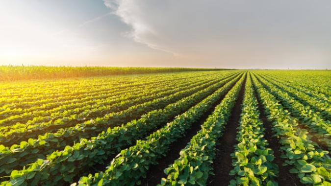 Conab lança boletim com cenários e perspectivas para agricultura familiar