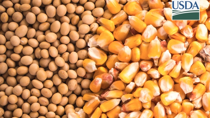 USDA indica exportações de soja e milho dentro do esperado pelo mercado