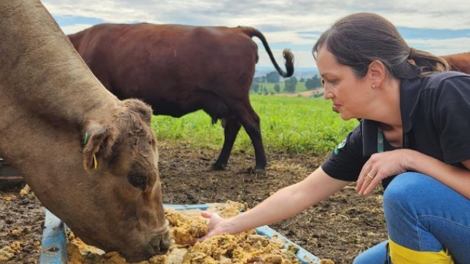 Epagri de Lages (SC) estuda o uso do bagaço da maçã na pecuária de corte