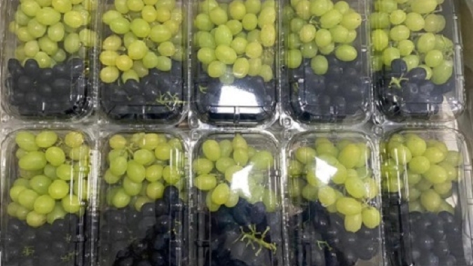 Exportações/Cepea: Mercosul e União Europeia assinam acordo histórico e beneficiará exportações de frutas frescas