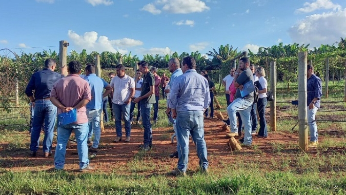 Governo de Goiás publica edital de seleção de novos produtores para o projeto de Fruticultura do Vão do Paranã