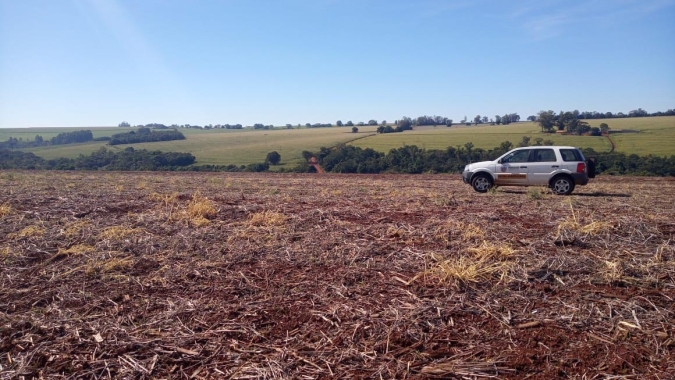 Vazio sanitário da soja começa no dia 27 de junho em Goiás, informa a Agrodefesa