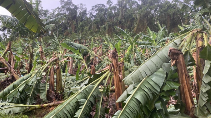 Secretaria da Agricultura e Pecuária e Epagri avaliam estragos causados por temporal no Norte de Santa Catarina