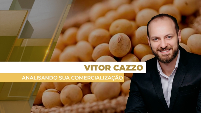 Analisando Sua Comercialização: Preços têm variado forte entre as principais regiões produtoras e estratégias também