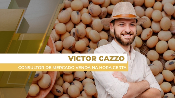 Com prêmios renovando a máxima e dólar em queda, preços da soja ao produtor pouco mudam no BR em semana fraca de negócios