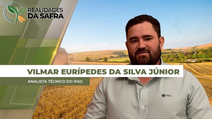 Com falta de chuvas, estado de Goiás passa por momento delicado para a segunda safra de milho