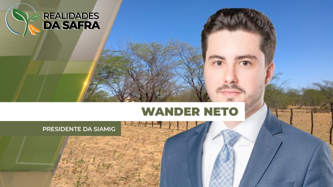 Previsão de seca em Goiás acende alerta para a produção do milho de segunda safra no estado