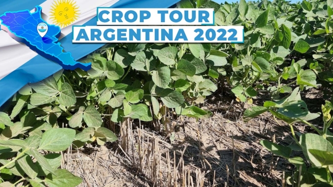 Crop Tour Argentina: Soja precisa de chuvas para se recuperar ou perdas serão mais graves