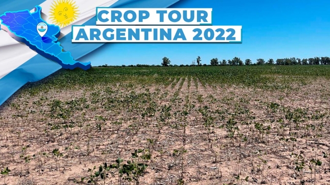 Crop Tour Argentina chega a região de La Francia e confirma mais perdas e irregularidade na soja