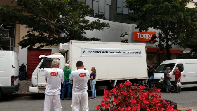 Suinocultores paranaenses protestam no centro de Curitiba sobre crise no setor