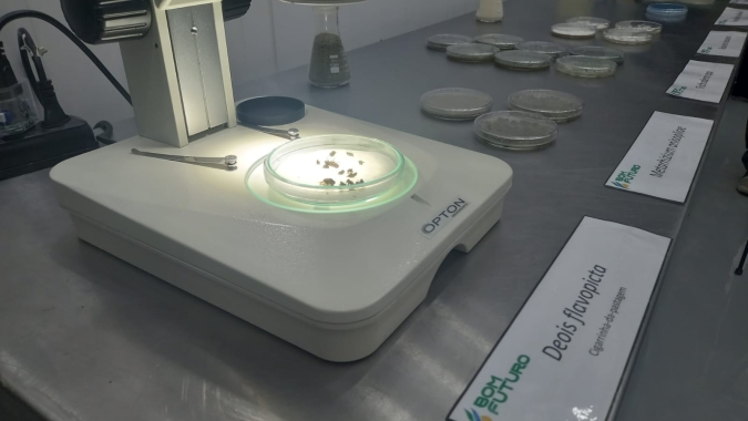 CNA debate bioinsumos e os desafios para o setor