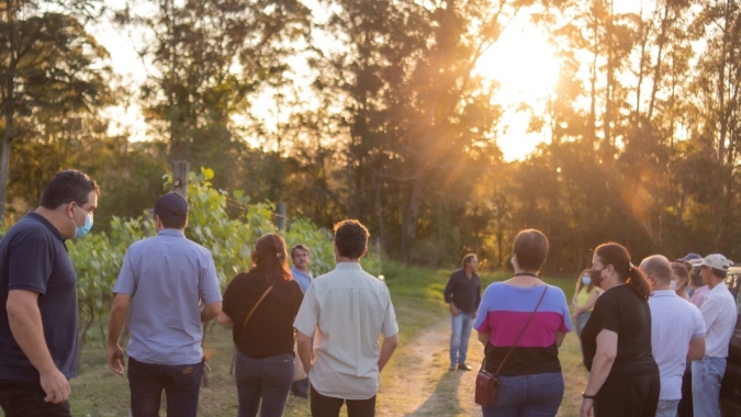 Ascensão dos vinhos paulistas é tema de evento com palestrantes internacionais
