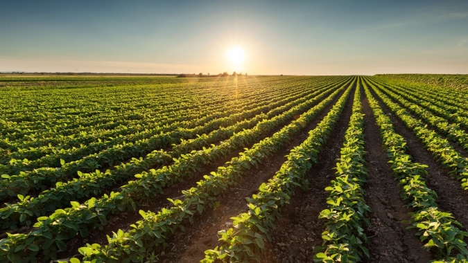 Artigo/Cepea: Reputação no agronegócio internacional: é possível mensurar o intangível?