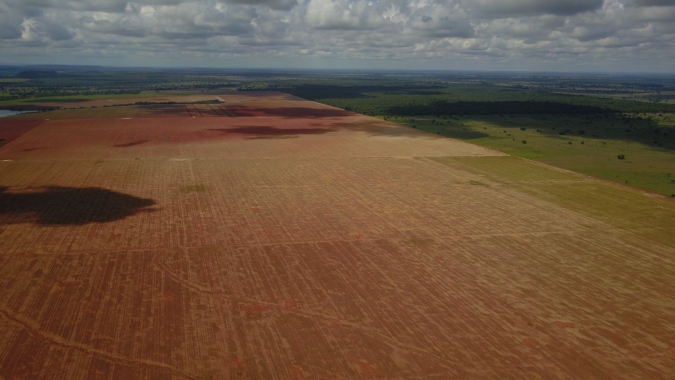 Syngenta amplia sua atuação na recuperação de pastagens degradadas no país