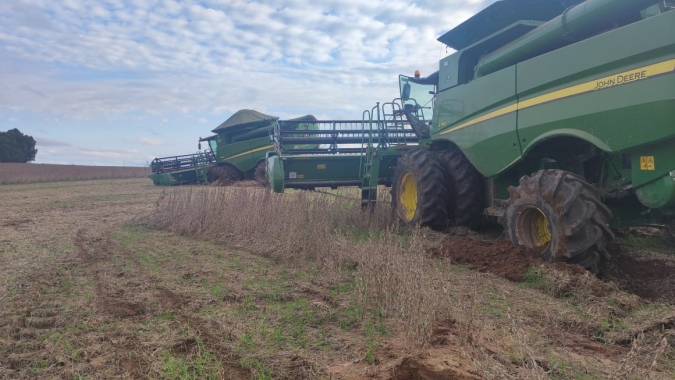 RS: Cepea faz pré levantamento das perdas no agro e avalia impactos de desabastecimento