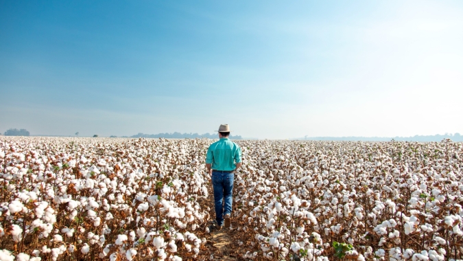 Bahia Farm Show terá lançamentos para soja, milho e algodão da BASF