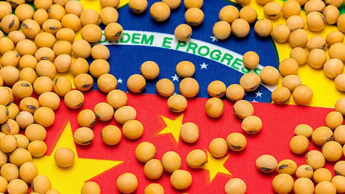 Soja: China precisa de pelo menos 6 mi de t para o fim de setembro que virão do BR e Argentina