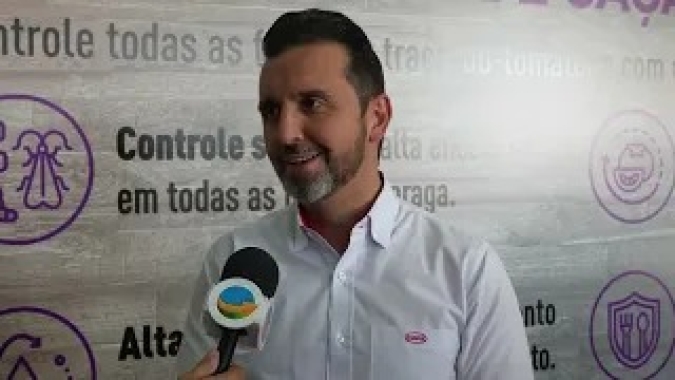 Traça do tomate pode causar perdas de 50% e e tem demandado média de 20 aplicações