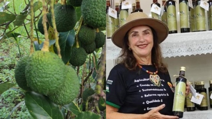 Produtora assistida pelo Incaper inicia exportação de abacate para a Argentina